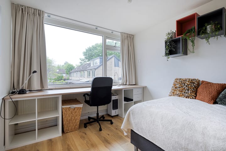 Foto 18 van Zonnelaan 7