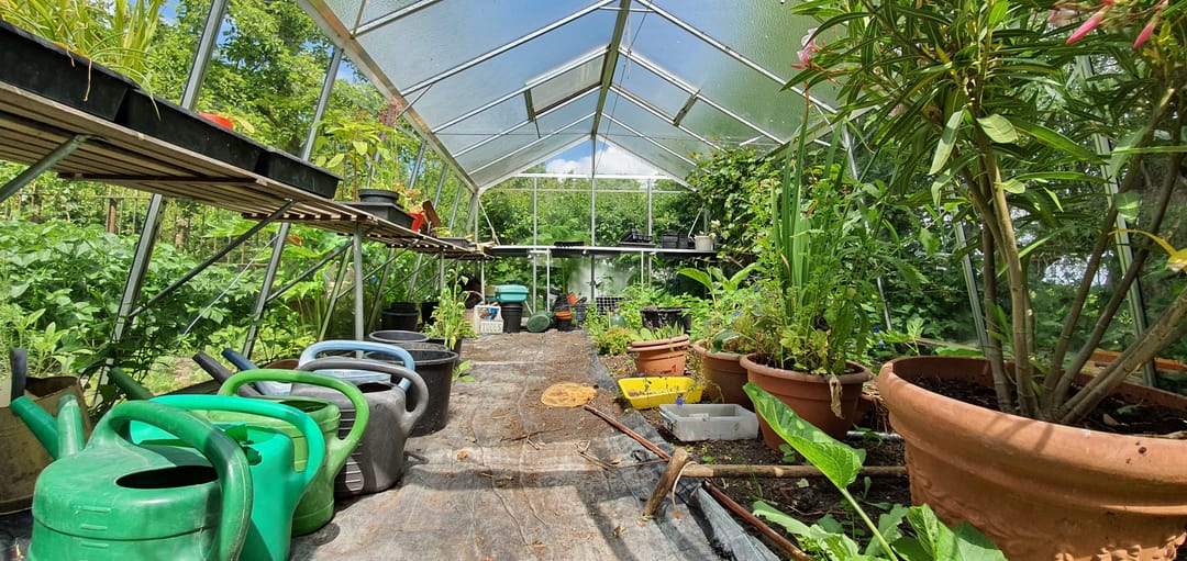 Foto 31 van Meilahuzen 9