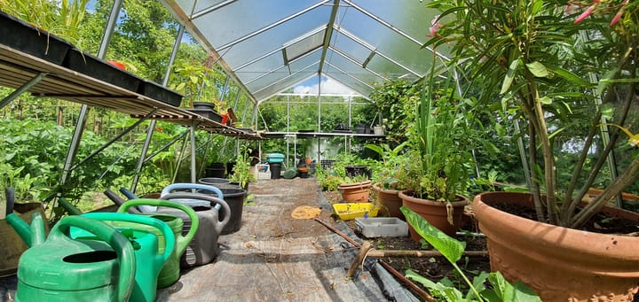 Foto 31 van Meilahuzen 9