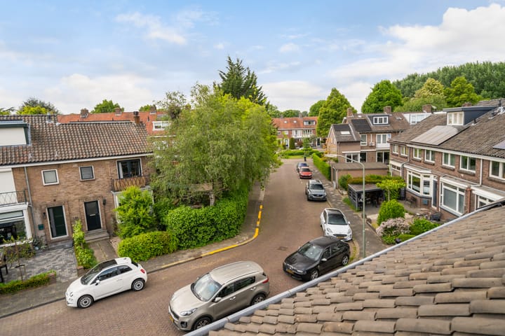 Foto 41 van Van Manderstraat 16