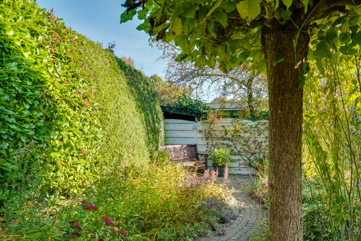 Foto 47 van Anna Reynvaanstraat 29