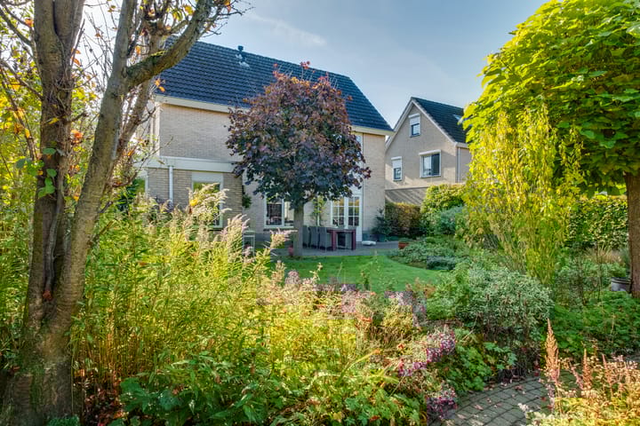 Foto 48 van Anna Reynvaanstraat 29