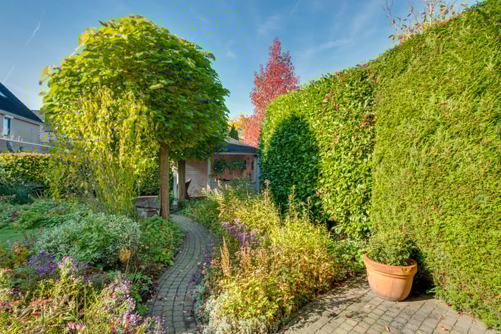 Foto 49 van Anna Reynvaanstraat 29