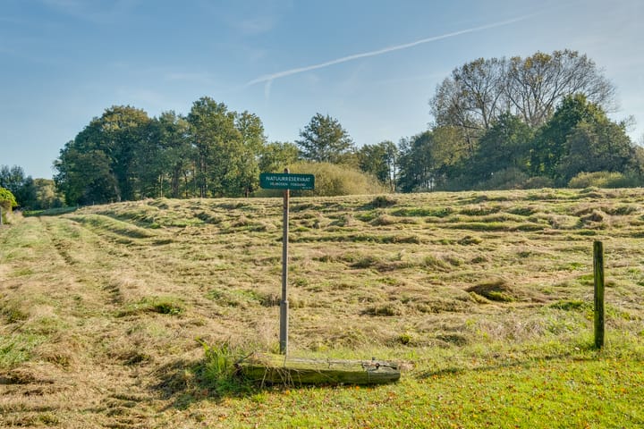 Foto 58 van Anna Reynvaanstraat 29