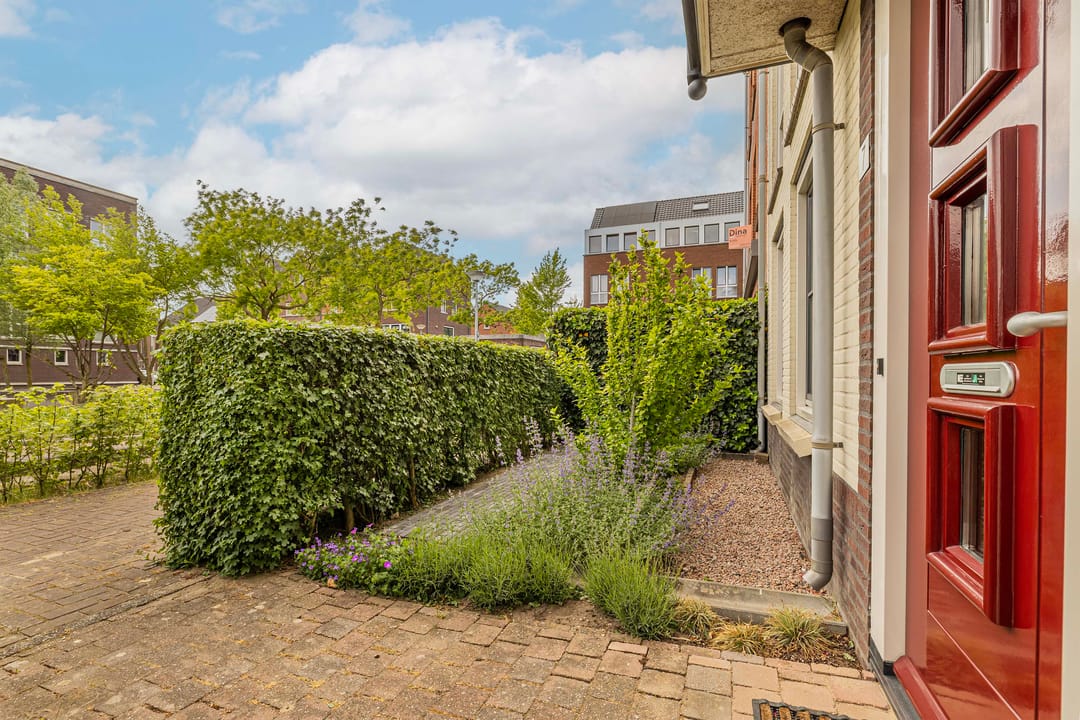 Foto 11 van Coelhorst 7