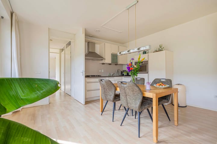 Foto 12 van Coelhorst 7