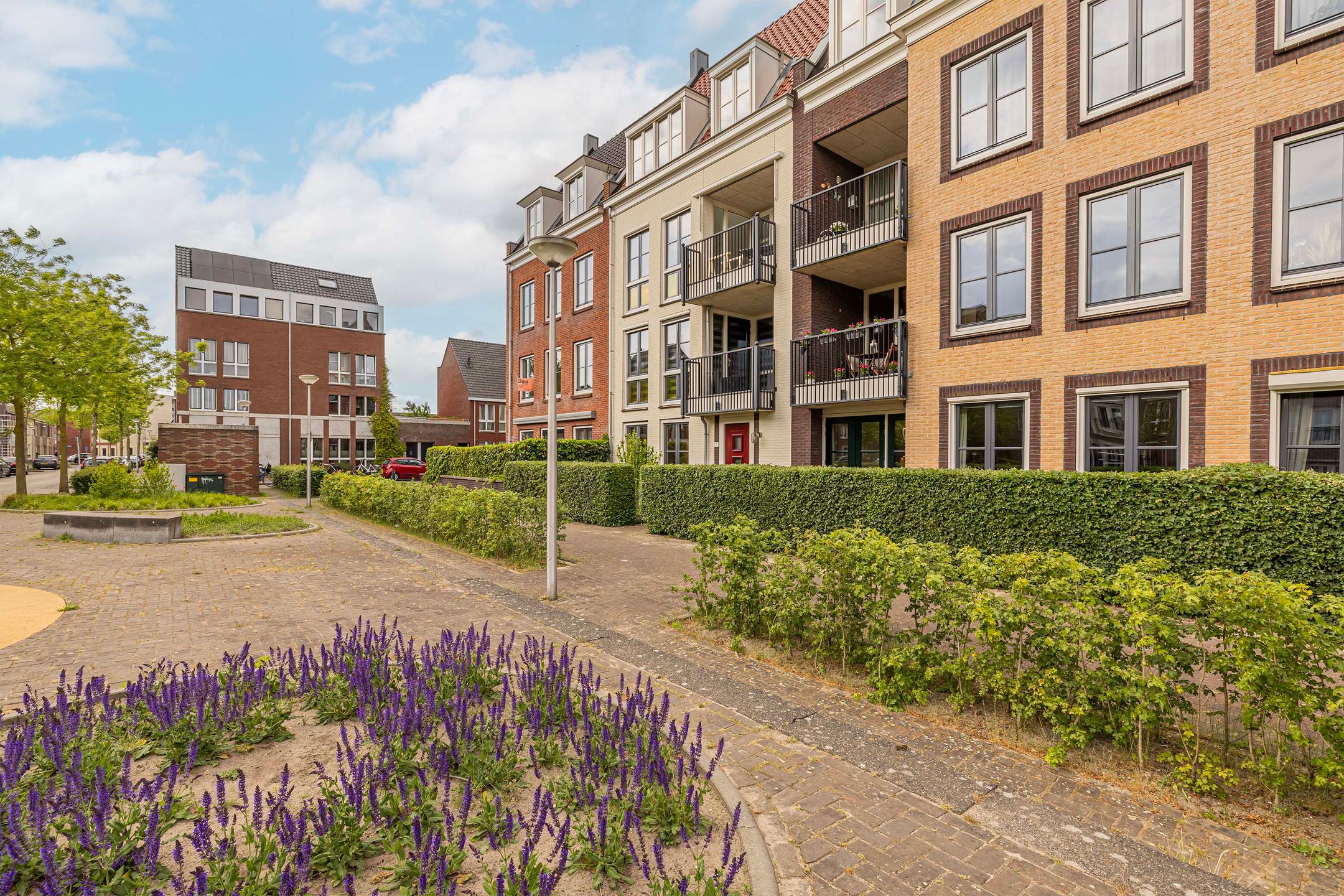 Foto 24 van Coelhorst 7