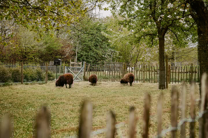 Foto 54 van Nieuwe weg 5