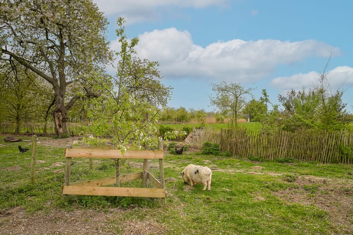 Foto 55 van Nieuwe weg 5