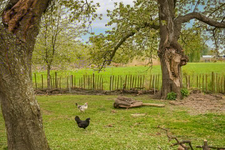 Foto 56 van Nieuwe weg 5