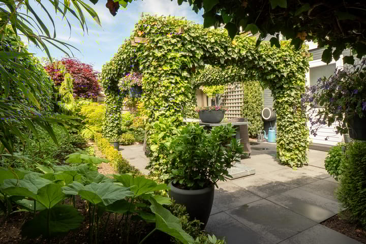 Foto 40 van Lentzinckserve 9