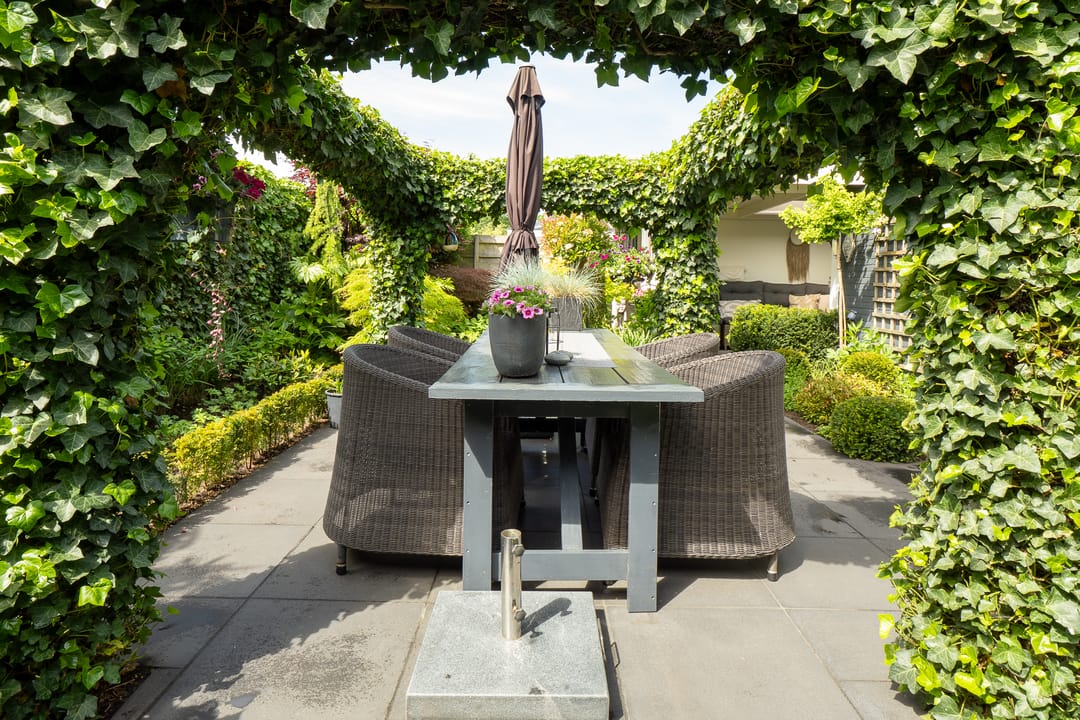 Foto 41 van Lentzinckserve 9