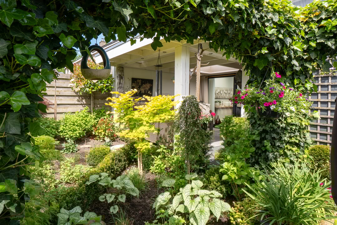 Foto 43 van Lentzinckserve 9