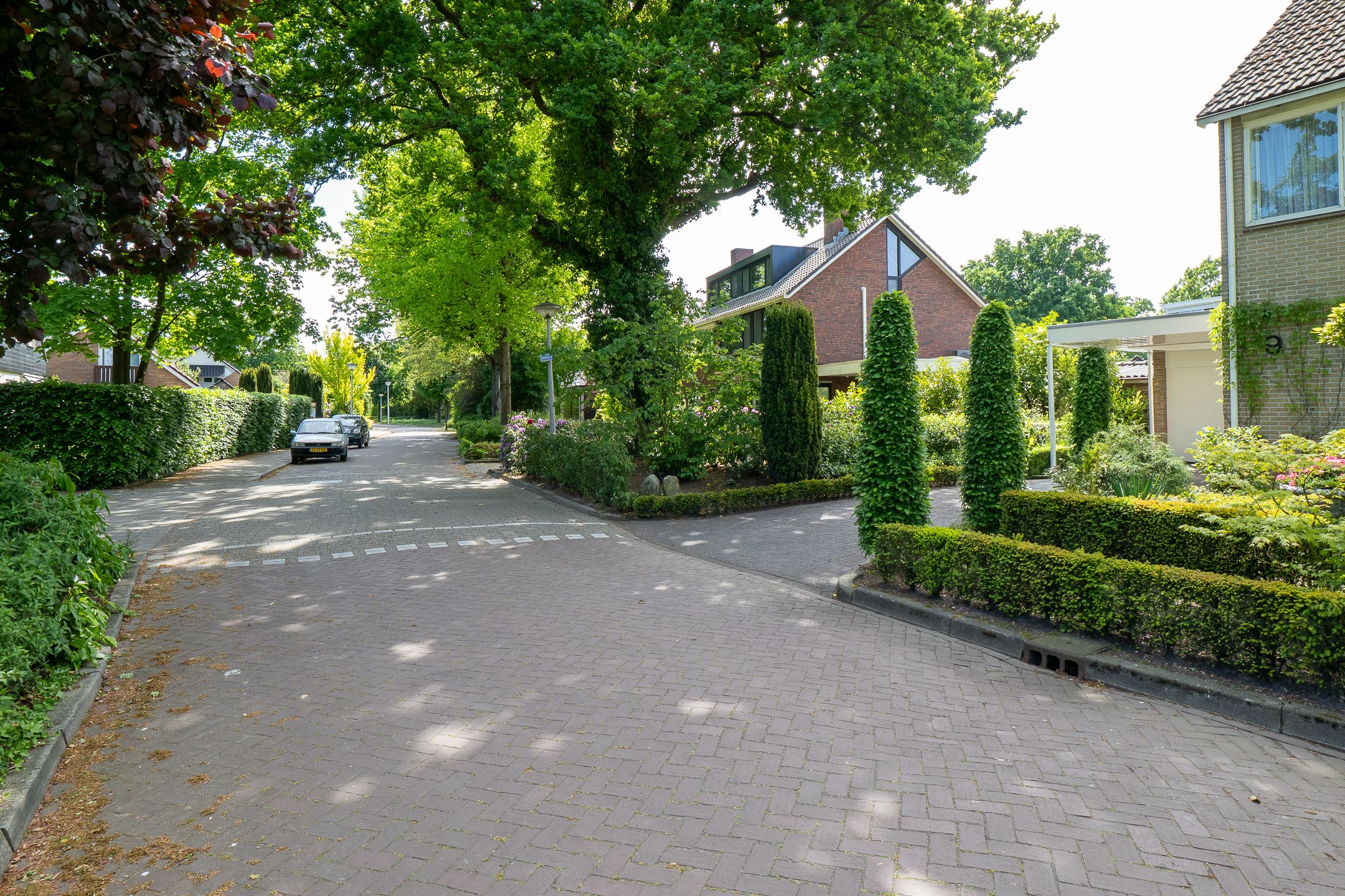 Foto 45 van Lentzinckserve 9