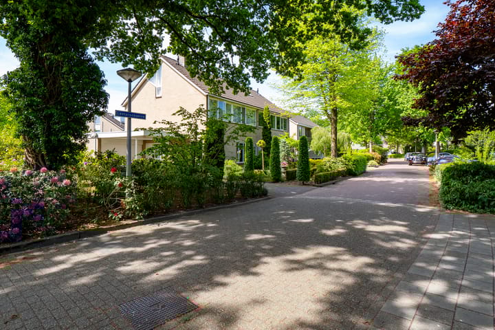 Foto 46 van Lentzinckserve 9