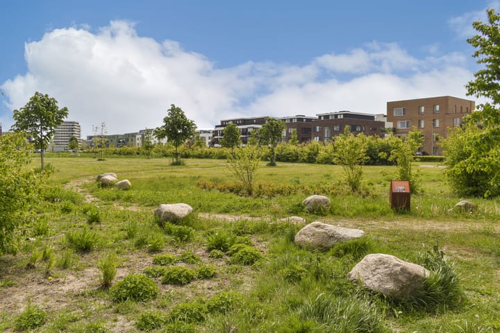 Foto 35 van IJslandstraat 3