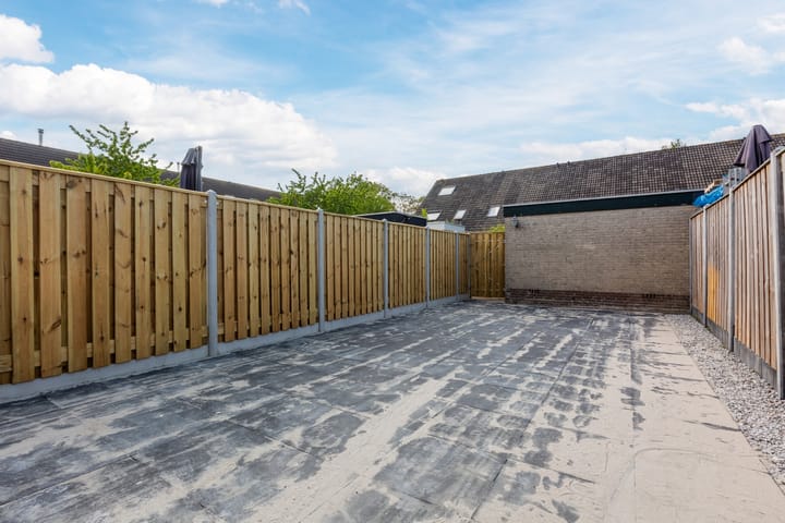 Foto 4 van Oranje Pan 11