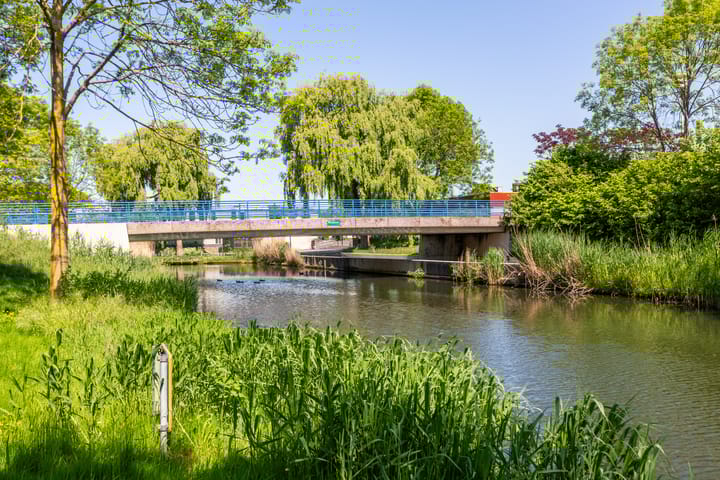 Foto 30 van Oranje Pan 11