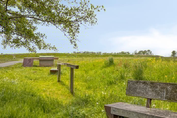 Foto 40 van Wagengouw 124