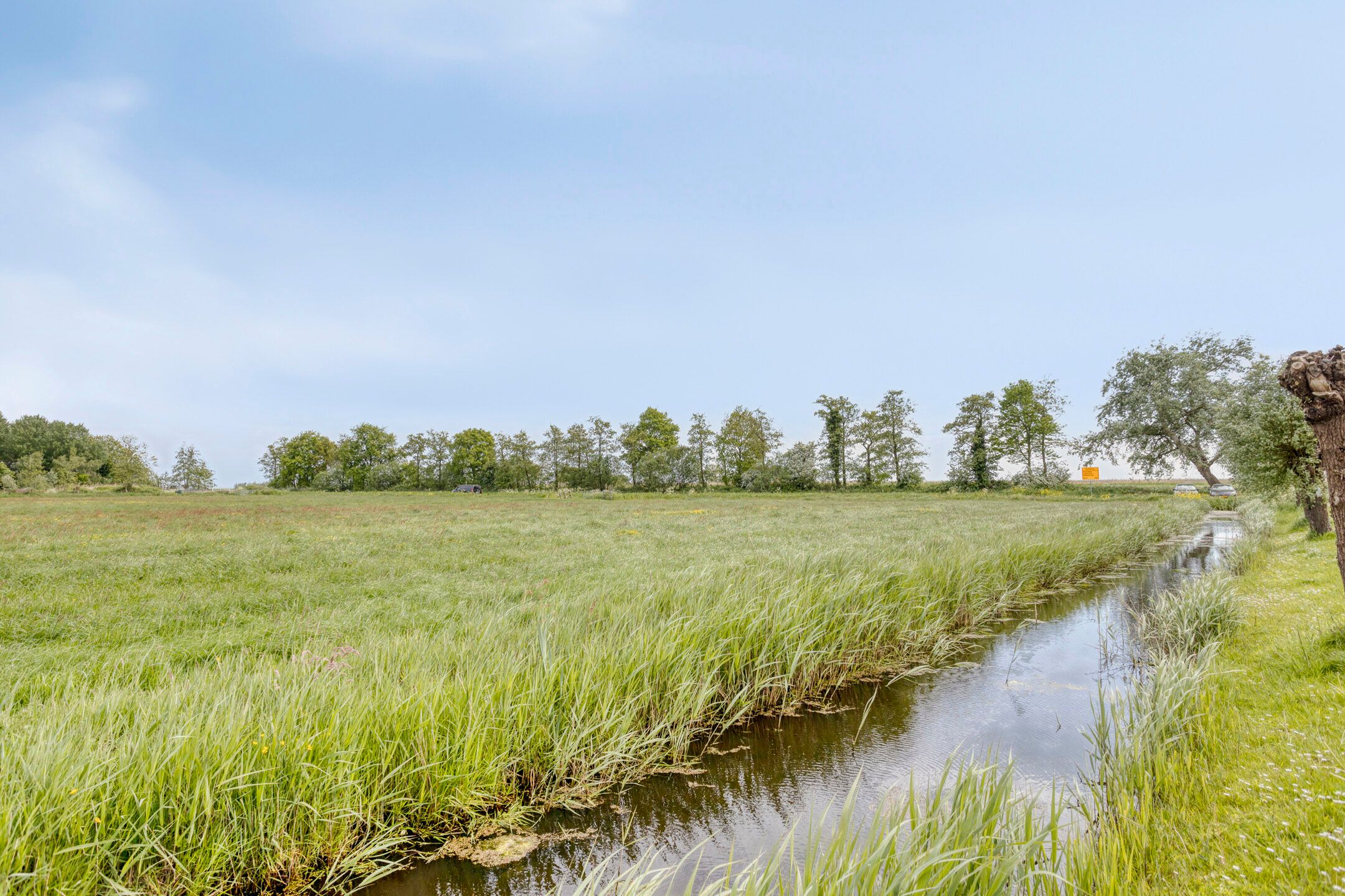 Foto 42 van Wagengouw 124