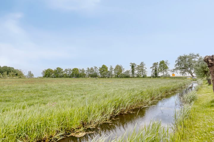 Foto 42 van Wagengouw 124