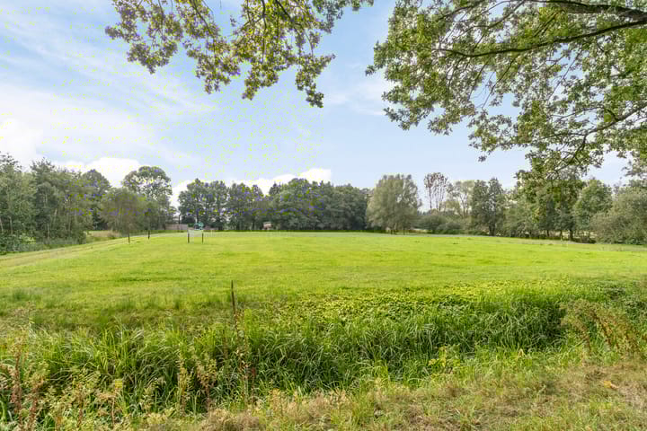 Foto 2 van Schapenweg 20