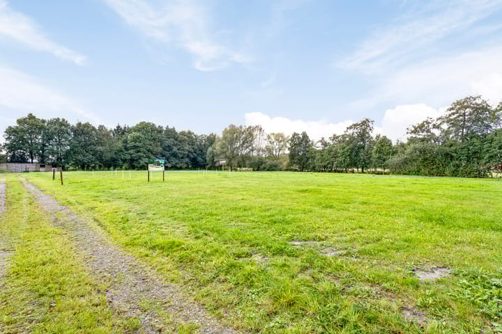 Foto 6 van Schapenweg 20