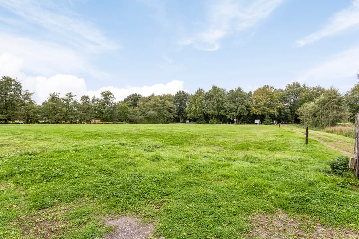 Foto 8 van Schapenweg 20