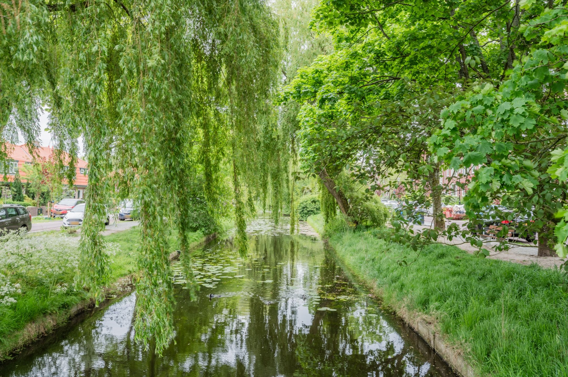 Foto 27 van Kastanjelaan 25