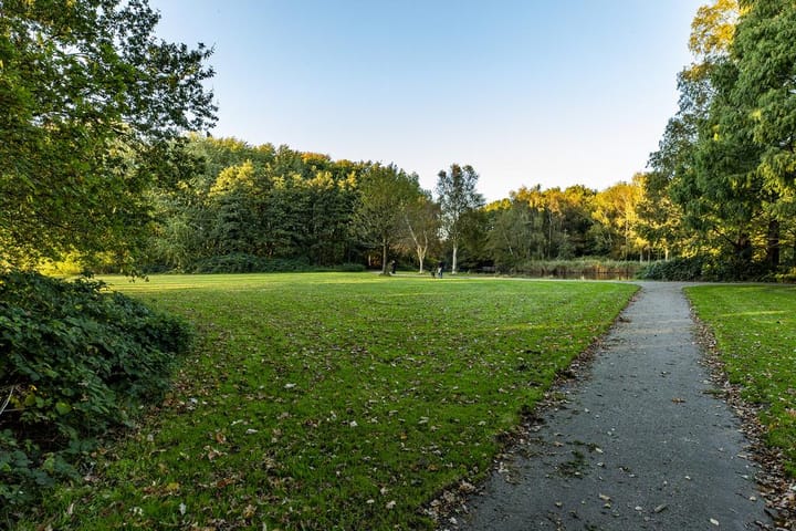 Foto 41 van Kastanjesingel 17