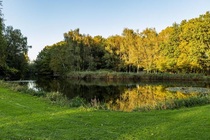 Foto 42 van Kastanjesingel 17