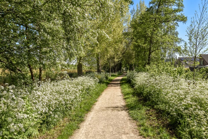 Foto 28 van Gandhiweg 52