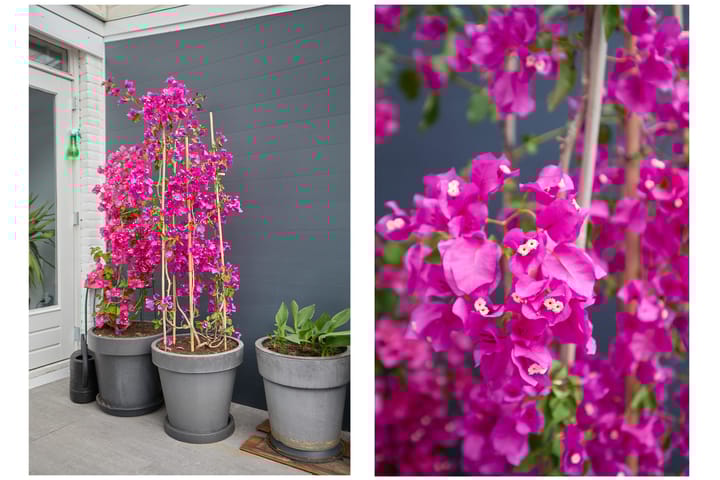 Foto 16 van Baker 32