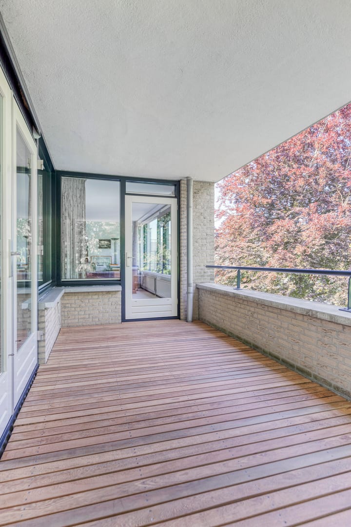 Foto 14 van Wilhelminapark 49