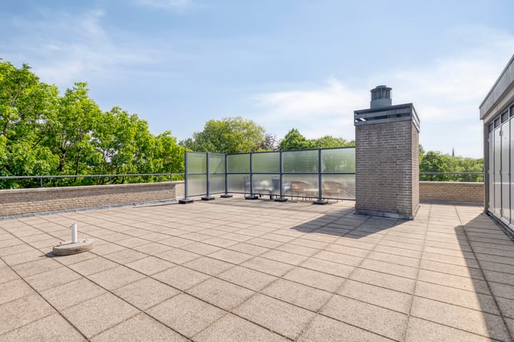 Foto 24 van Wilhelminapark 49