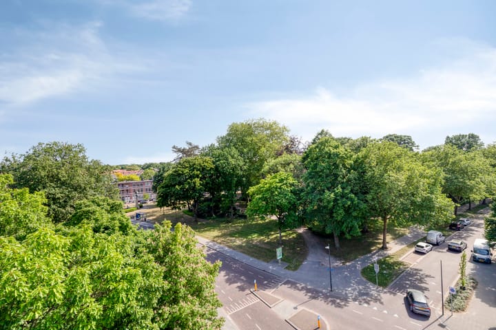 Foto 25 van Wilhelminapark 49