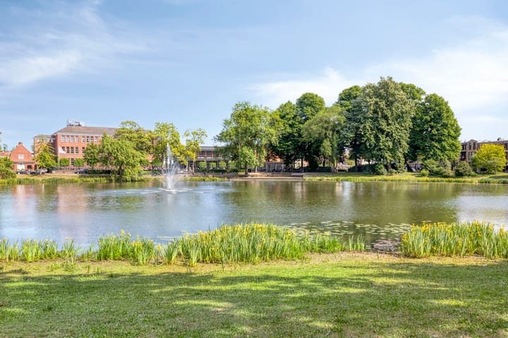 Foto 26 van Wilhelminapark 49