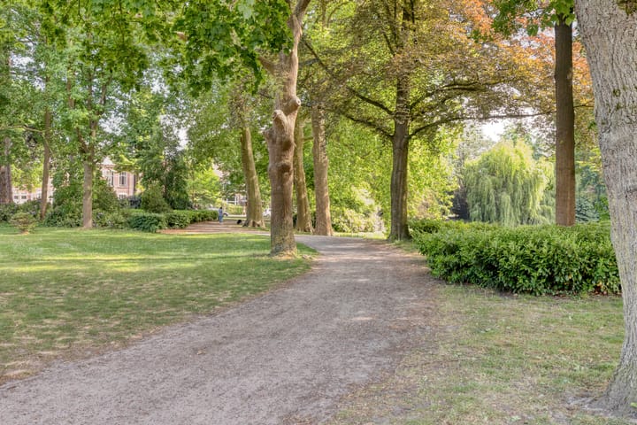 Foto 27 van Wilhelminapark 49