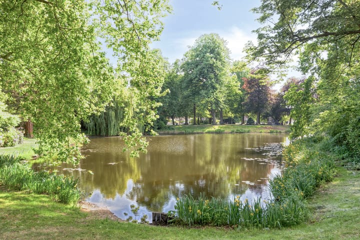 Foto 28 van Wilhelminapark 49