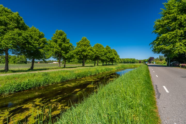 Foto 12 van Langewijk 6