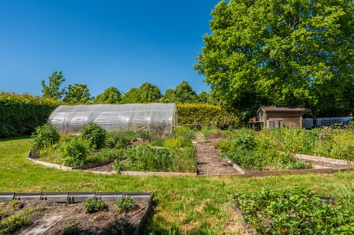 Foto 64 van Langewijk 6