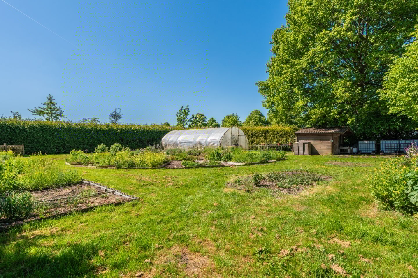 Foto 65 van Langewijk 6