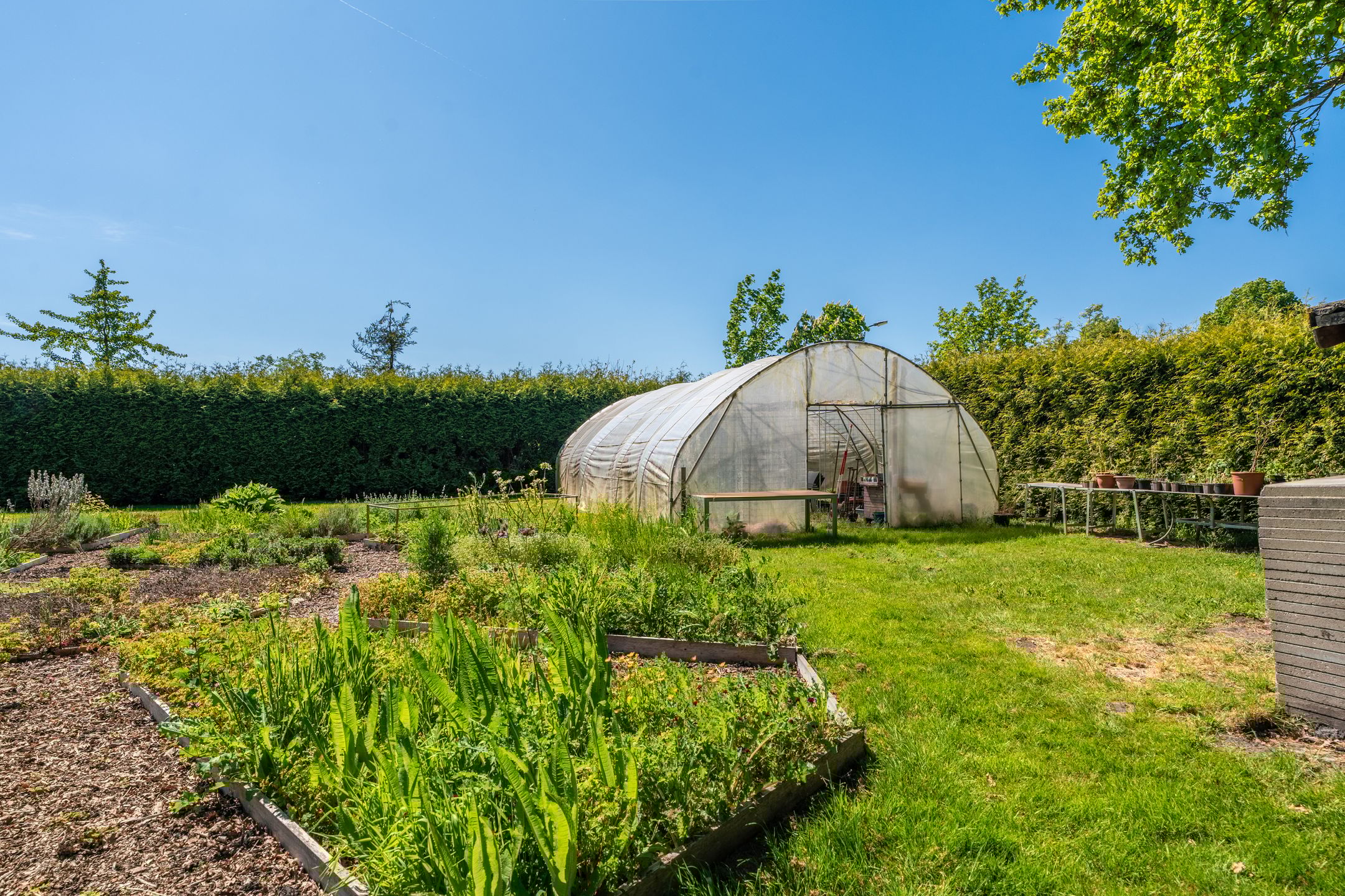 Foto 66 van Langewijk 6