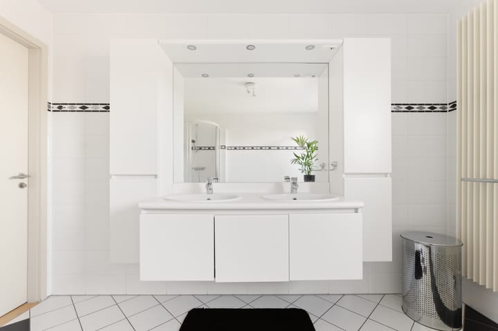 Foto 40 van Rietkraag 8