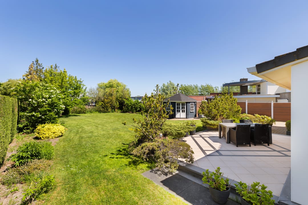 Foto 52 van Rietkraag 8