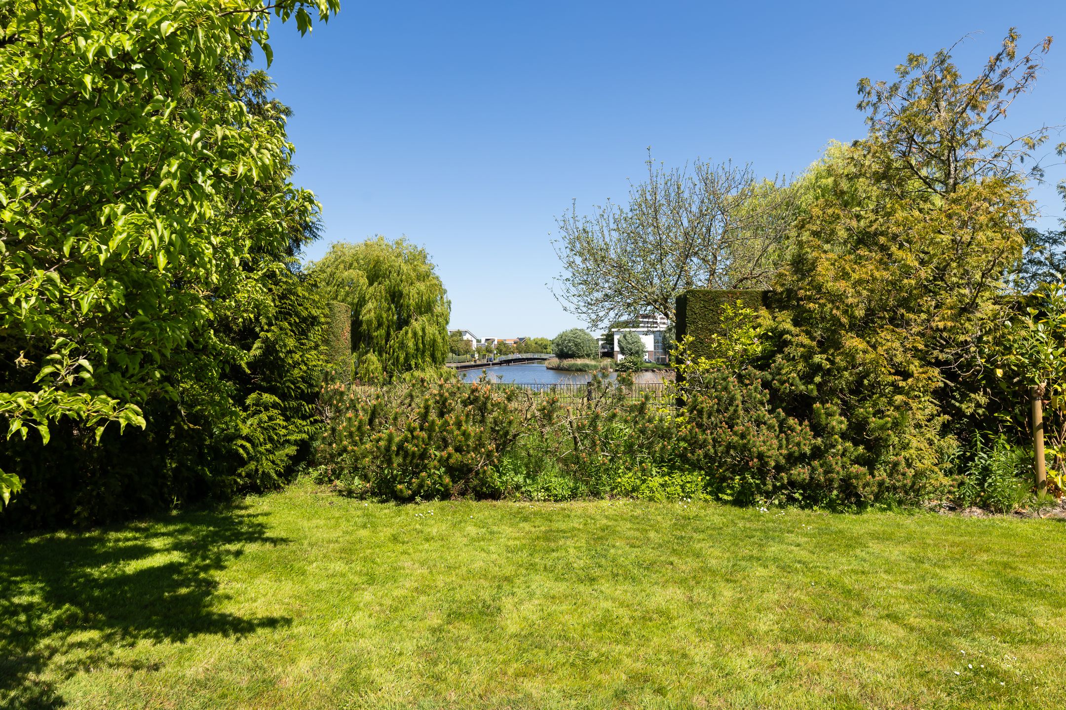 Foto 54 van Rietkraag 8