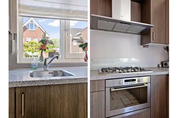 Foto 9 van Paardebloem 16