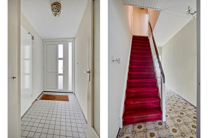 Foto 6 van Bolkruid 183