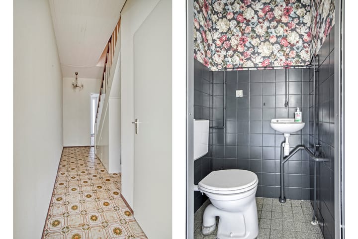 Foto 13 van Bolkruid 183