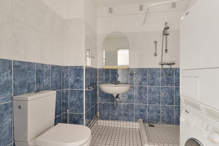 Foto 17 van Bolkruid 183